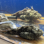 食彩厨房 甚兵衛 - おこぜ