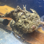 食彩厨房 甚兵衛 - おこぜ