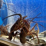 食彩厨房 甚兵衛 - 伊勢海老