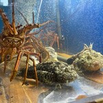 食彩厨房 甚兵衛 - 水槽