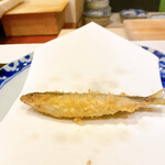 美かさ - 稚鮎　琵琶湖産の湖鮎