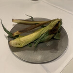 カーブドッチ - 