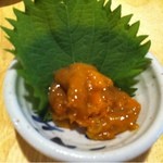 うお旬 - 大間の塩雲丹