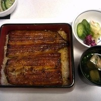 鰻割烹 伊豆栄 本店 - うな重、竹
