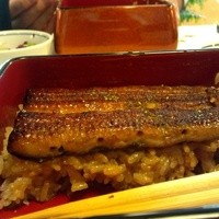 鰻割烹 伊豆栄 本店 - うなぎの厚さ