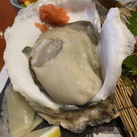魚竹 - 