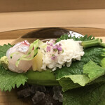 赤坂 菊乃井 - 昼懐石１３３１０円。明石天然鯛、鱧落とし。どちらもとーっても美味しかったです（╹◡╹）（╹◡╹）