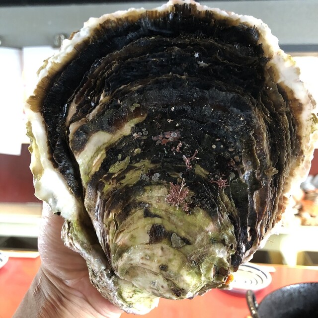 殻の三光橋 天神南 居酒屋 食べログ 殻の三光橋 天神南 居酒屋 食べログ