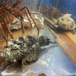 食彩厨房 甚兵衛 - 水槽