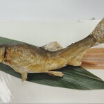 思い出浪漫館 - あゆ