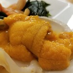 出羽鮨 - エゾバフンウニの表情。