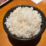 亀戸ホルモン - 麦めし