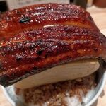 Unagi Kushi Ryouri Idumo - 