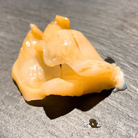 SUSHI TOKYO TEN、 新宿店 - 