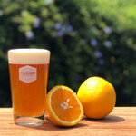 orange beer