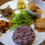 マクロビオティックレストラン 陽菜 - 日替りランチプレート