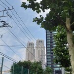 シャンティ - 水道道路に出るとこの景色。