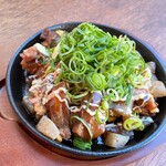 カジュアル鉄板酒場 ハナミチ - 