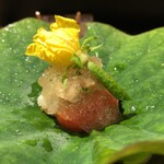 おみ乃 - 伊達鶏 もも肉・芋茎・フルーツトマトのトマトゼリーがけ + 胡瓜の花（アップ）