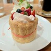 AKANE - 料理写真:苺のシャルロットケーキ