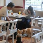 Y's DOGCAFE - 