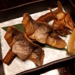 富士乃湯旅館 - 