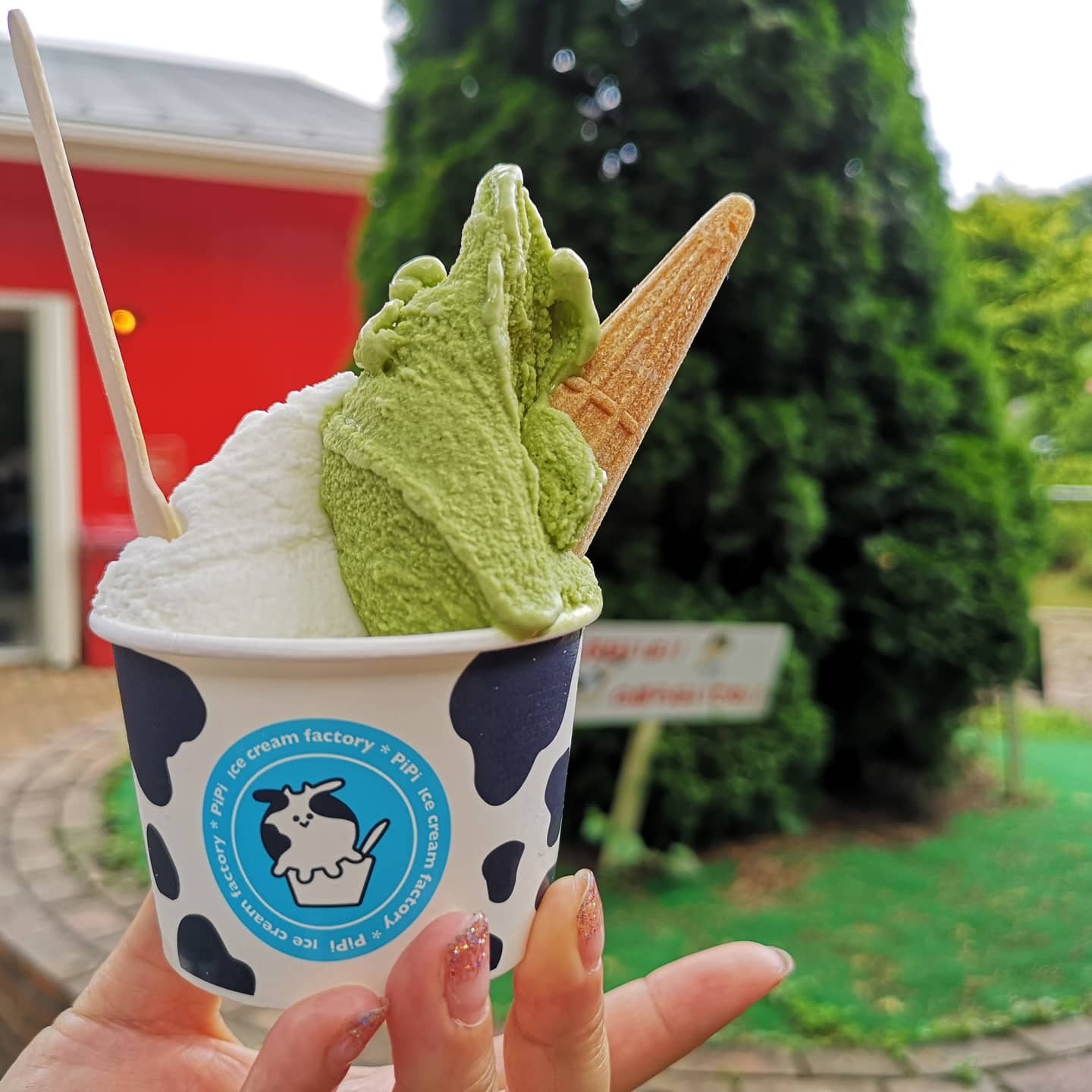 写真 : icecream factory PiPi （ピピ【旧店名】東京みるく工房 ピュア