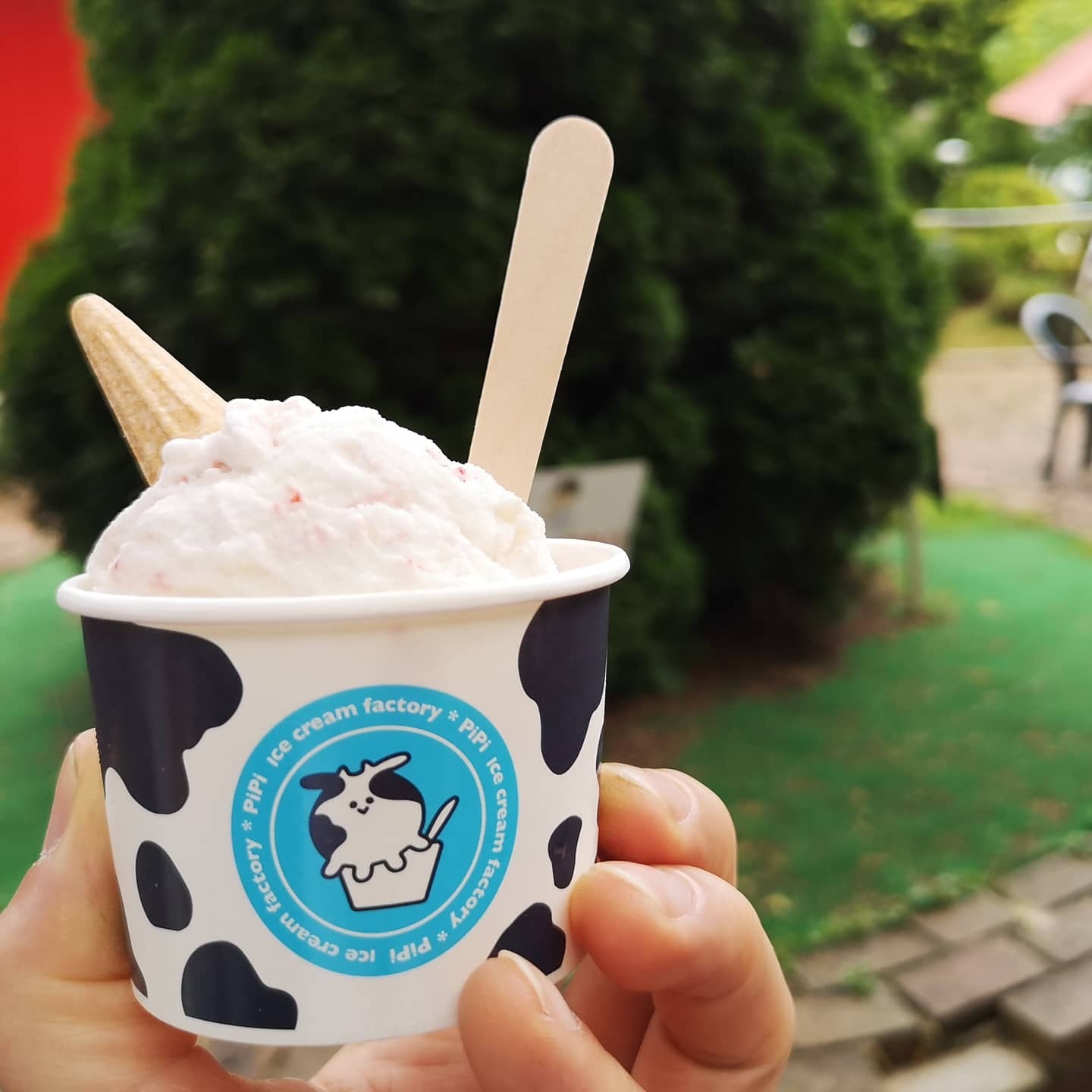 フェイスクリーム pipi フェイスクリーム pipi icecream factory PiPi （ピピ【旧店名