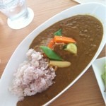 カフェウミトソラノアイダ - ランチ カレー