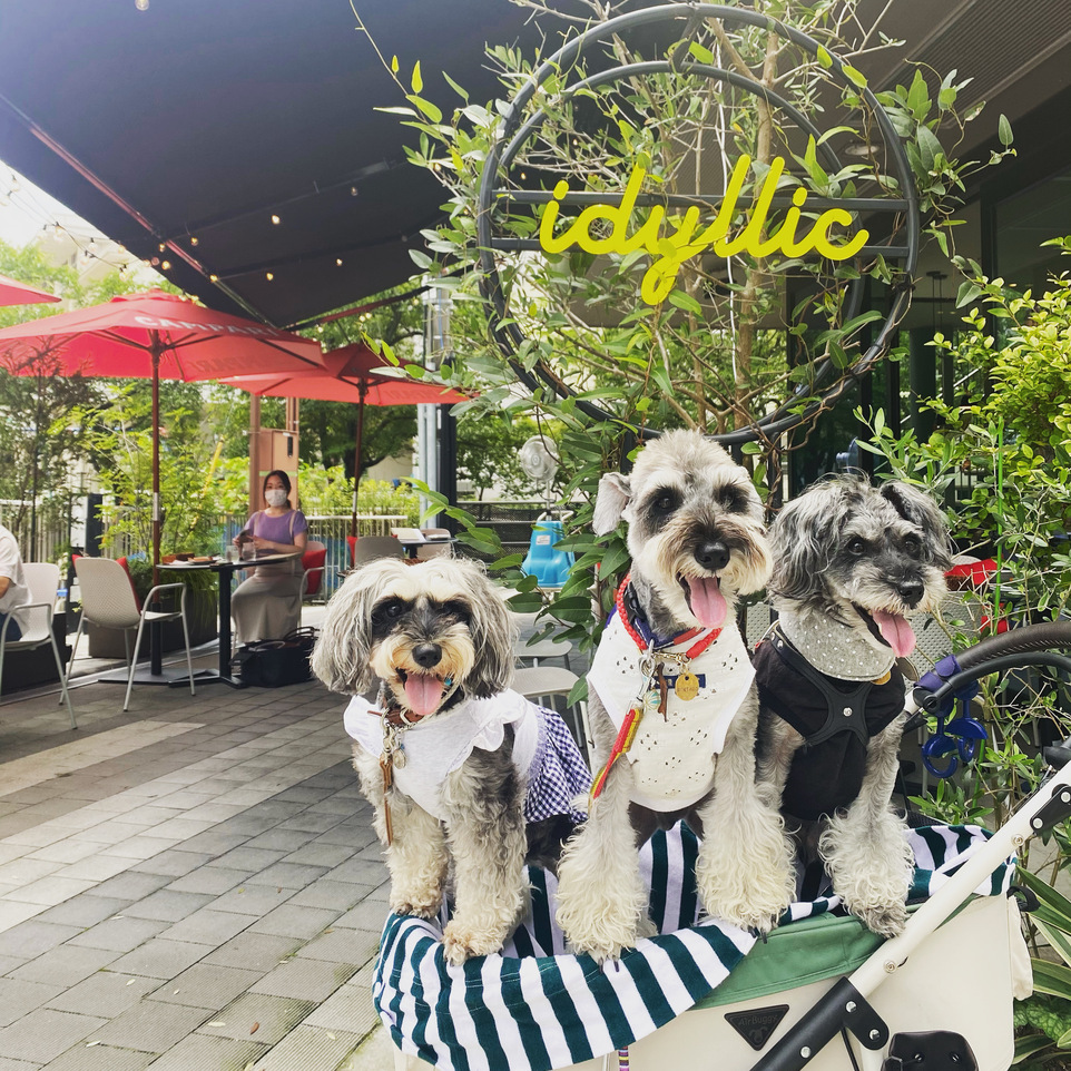 Pizzeria&Trattoria idyllic