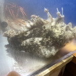 食彩厨房 甚兵衛 - おこぜ