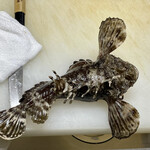 食彩厨房 甚兵衛 - おこぜ