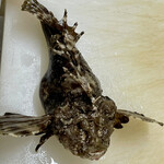 食彩厨房 甚兵衛 - おこぜ