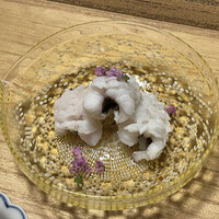 菊乃井 本店 - 