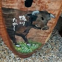 鴨川たかし - 