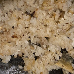 和食宿 菜々せ - 