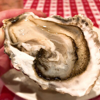 グランド・セントラル・オイスターバー&レストラン 品川店 -  グランド・セントラル・オイスターバー&レストラン 品川店 -