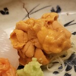 緒方 - ④赤雲丹(福井県小浜産)
      産卵期は初秋～晩秋、旬は初夏～晩夏
      透明感のある上品な甘みが特徴
      8月下旬になると産卵期特有の苦味が入ります
      最初は舌の上に5秒ホールドして堪能