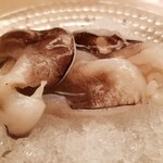 緒方 - ⑧炭火炙り鳥貝(京都府舞鶴産)
      炭火で炙った鳥貝は加熱で旨みが増し、潮の香りをまといつつ、噛むほど甘みと旨みが溢れる
      日本海側は水温が低いので夏直前のまで良いものが入りますね。