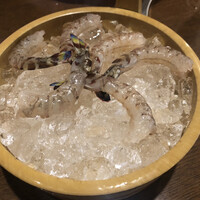 割烹 川田 - 