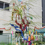 Rue Favart - 恵比寿一丁目の七夕飾り