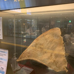 頂上麺 筑紫樓 ふかひれ麺専門店  八重洲店 - 