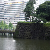 グランド キッチン - パレスホテルならではの借景