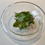 レストラン オオツ - 