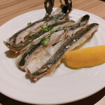 スペイン食堂 Estoy lleno - 