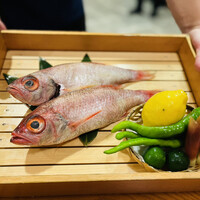 とらふぐ専門 ふぐ中俣 - 