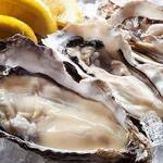 Raw Oyster from all over the country