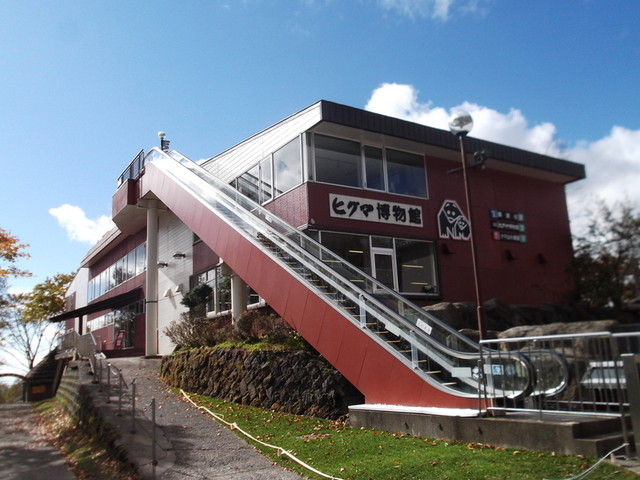 クマ山カフェ（【旧店名】クマ山食堂） - 登別市その他（カフェ）の写真