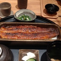 うなぎ四代目菊川 ミッドランドスクエア 名古屋本店 - 