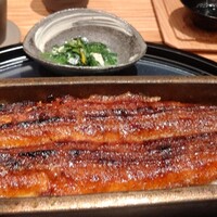 うなぎ四代目菊川 ミッドランドスクエア 名古屋本店 - 